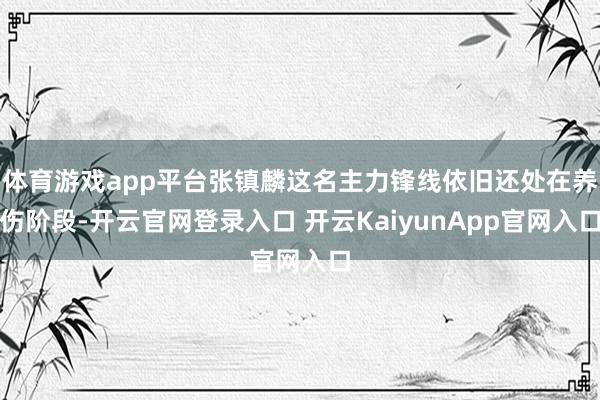 体育游戏app平台张镇麟这名主力锋线依旧还处在养伤阶段-开云官网登录入口 开云KaiyunApp官网入口