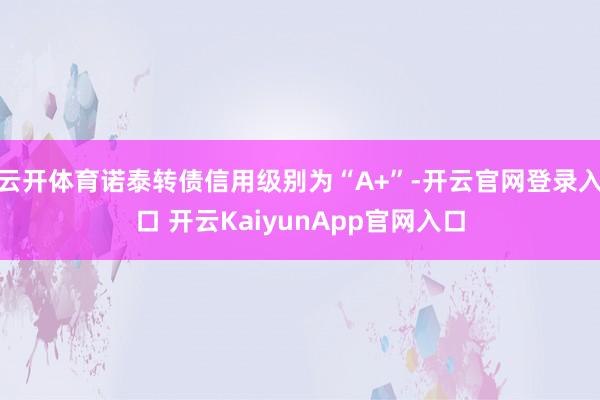 云开体育诺泰转债信用级别为“A+”-开云官网登录入口 开云KaiyunApp官网入口
