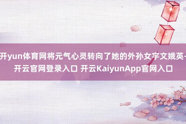 开yun体育网将元气心灵转向了她的外孙女宇文娥英-开云官网登录入口 开云KaiyunApp官网入口