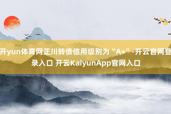开yun体育网正川转债信用级别为“A+”-开云官网登录入口 开云KaiyunApp官网入口
