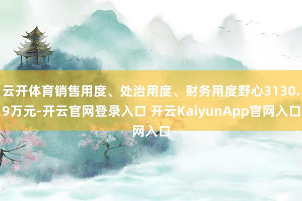 云开体育销售用度、处治用度、财务用度野心3130.9万元-开云官网登录入口 开云KaiyunApp官网入口